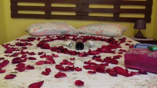Hostal Pousada Recanto Dos Ipes