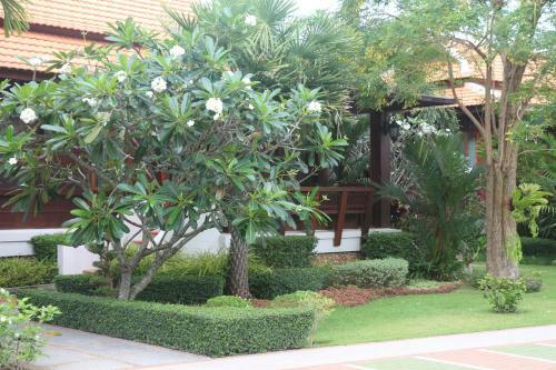 Hotel Try Palace Resort & Spa