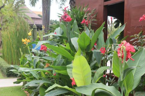 Hotel Try Palace Resort & Spa