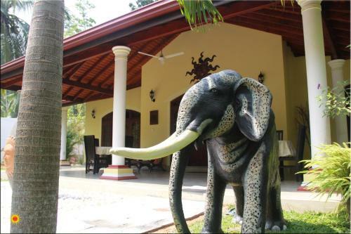 Hostal Traum Villa