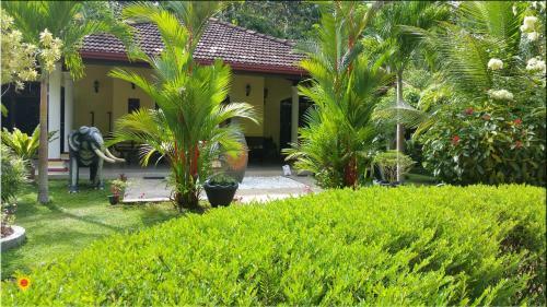 Hostal Traum Villa