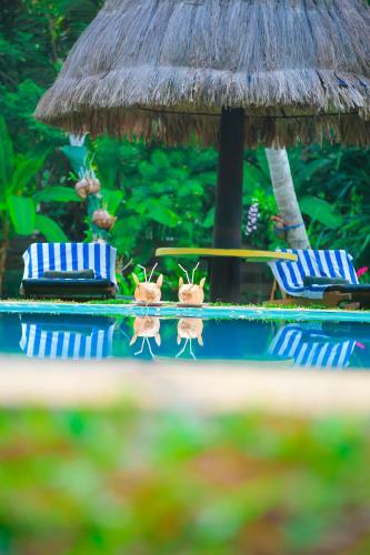Hostal Traum Villa