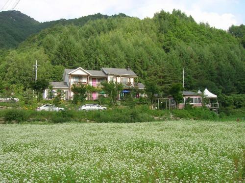 Geum Dang Lodge