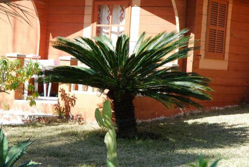Hostal Soller Garden