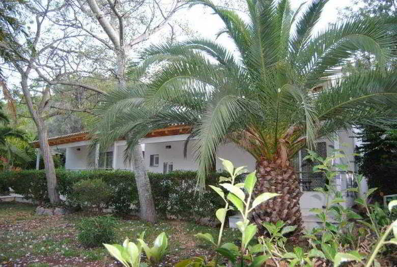 Hostal Soller Garden