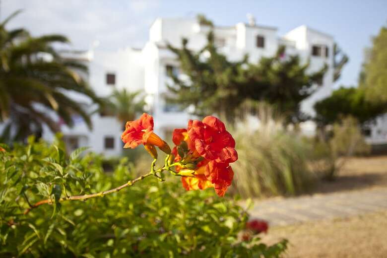 Europa Apartamentos