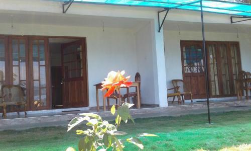 Hostal Ella Mountain Palace