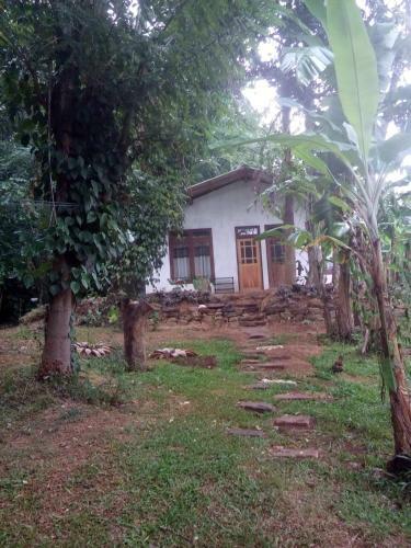 Hostal Nature Park