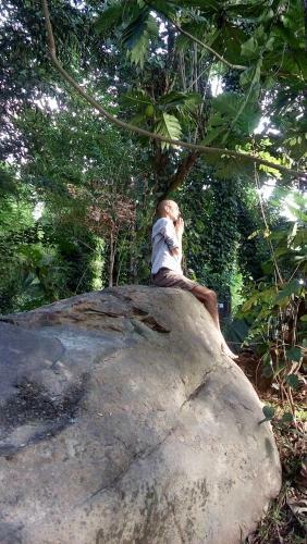 Hostal Nature Park