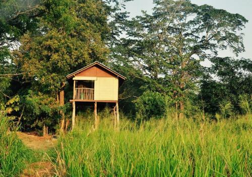 Lodge Elephant Watch Hut