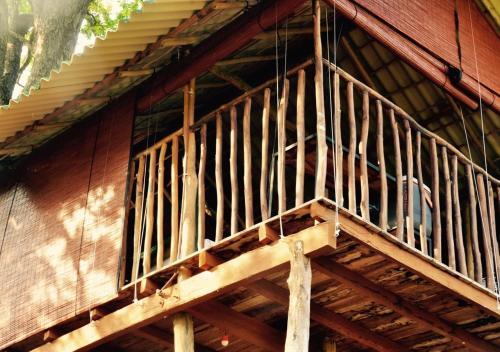 Lodge Elephant Watch Hut