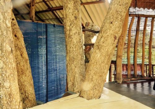 Lodge Elephant Watch Hut