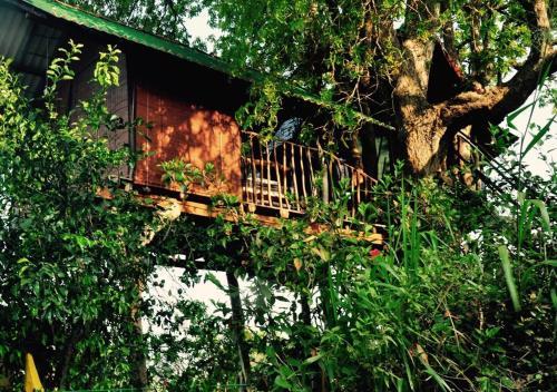 Lodge Elephant Watch Hut