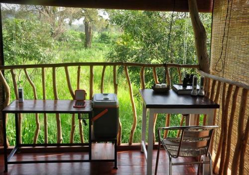 Lodge Elephant Watch Hut