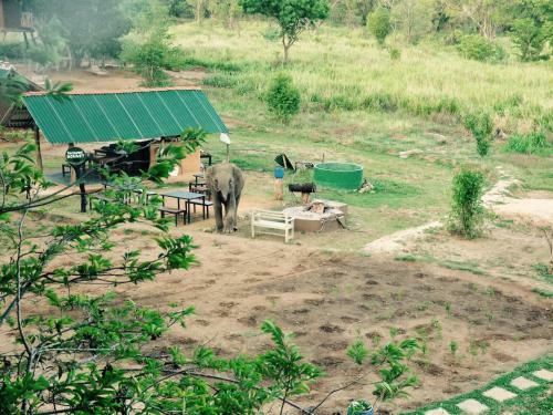 Lodge Elephant Watch Hut