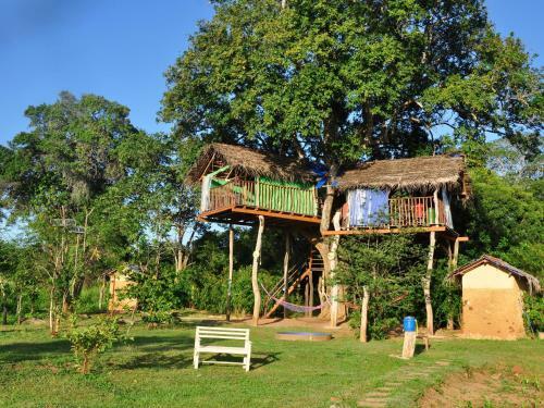 Lodge Elephant Watch Hut