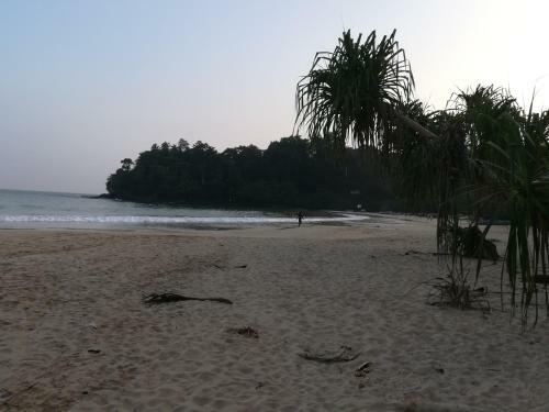 Hotel Seaview Resort