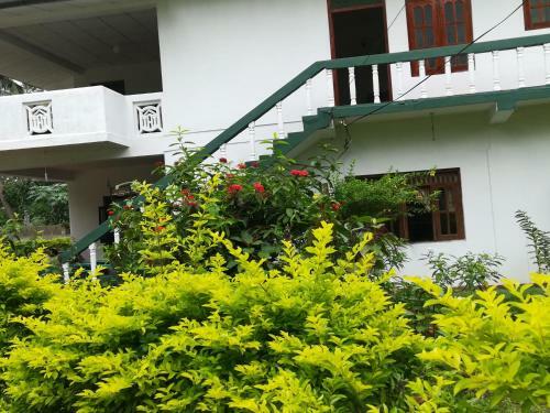 Hotel Seaview Resort