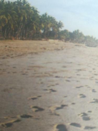 Hotel Seaview Resort
