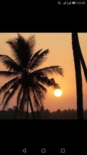 Hotel Seaview Resort