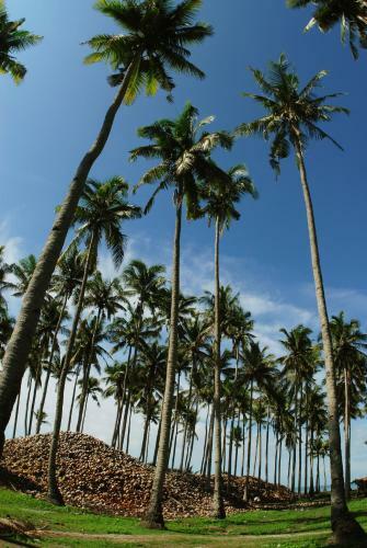 Hotel Costa Aguada Island Resort