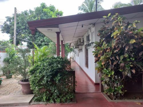 Posada Mayura Rest Inn