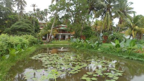 Bed & Breakfast Hotel Birds View