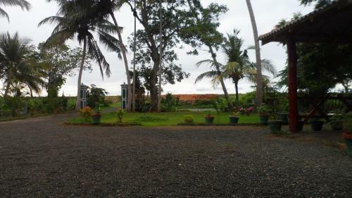 Bed & Breakfast Hotel Birds View