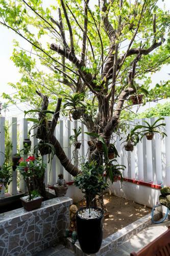 Backpacker's Home Homestay