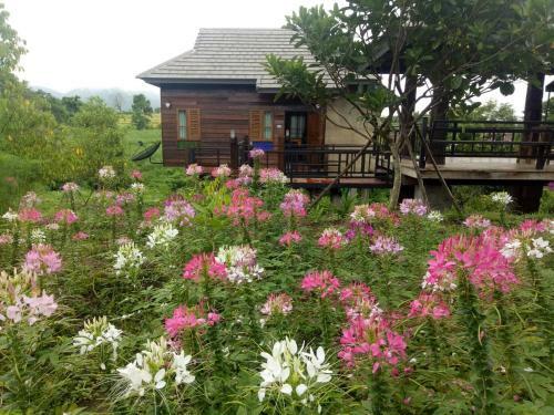 Hostal Bura Phat Resort