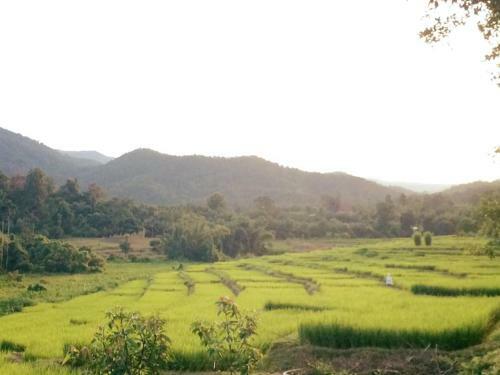 Hostal Bura Phat Resort