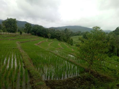 Hostal Bura Phat Resort