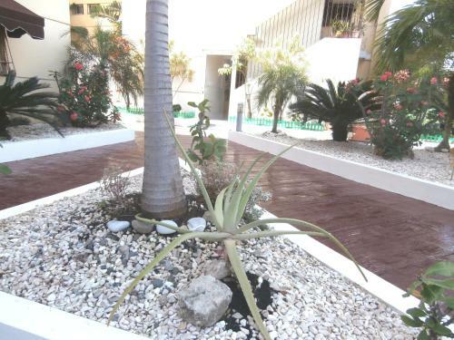 Torre Apartamento Independencia