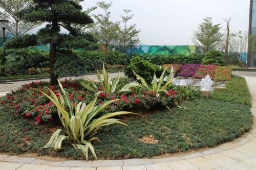 Hotel Da Hengqin Superior Talent Residence