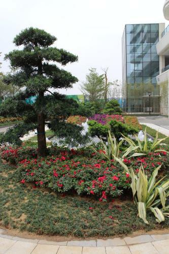 Hotel Da Hengqin Superior Talent Residence