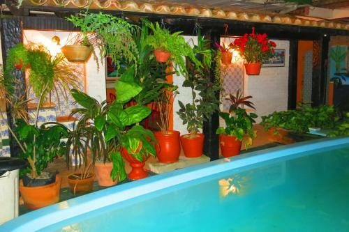 Hostal Hostel Villas Boas