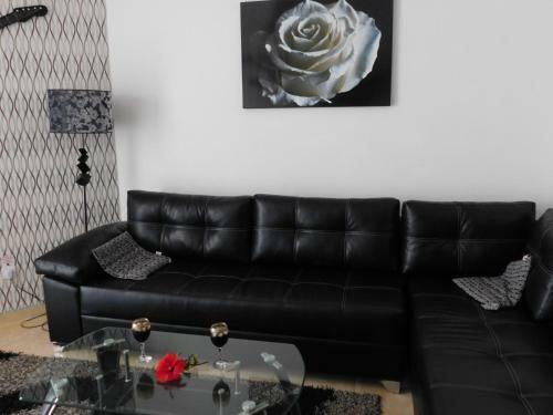 Aurora Apartment