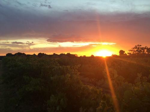 Hostal Barossa Vineyard Guesthouse