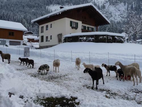 Apartamento Ferienwohnung Inge Gapp