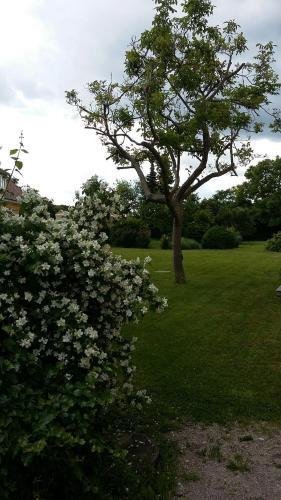 Hotel Schloss Gumpoldskirchen - Deutsch-ordenshaus