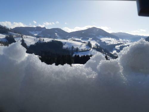 Hostal Pension Seyerlehner