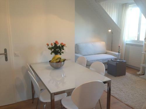 Carouge Loft Apartment