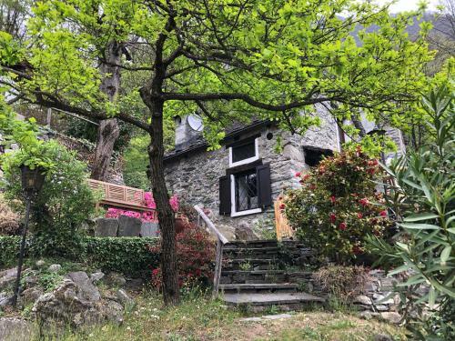 C� Dal Bosc E C� Sgr�scia