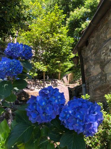 C� Dal Bosc E C� Sgr�scia