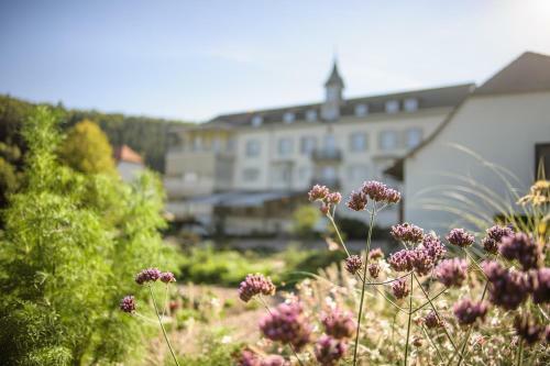 Hotel Bad Schauenburg