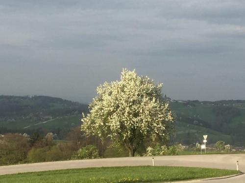 Apartamento Ferienwohnungen K�ssl