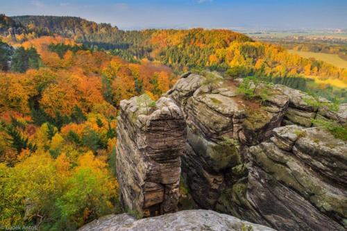 Hostal Riegrova Chata Koz�kov