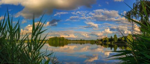 Hostal Riegrova Chata Koz�kov