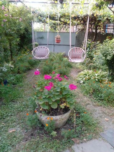 Hostal Guest House Duruji