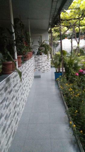 Hostal Guest House Duruji